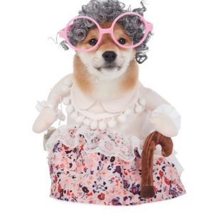🆕Moonlight Manor Grandma Pet Costume